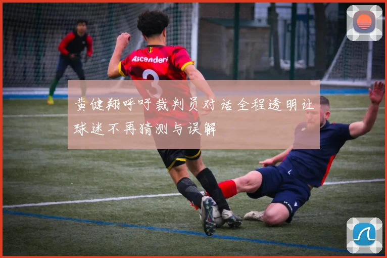 黄健翔呼吁裁判员对话全程透明让球迷不再猜测与误解