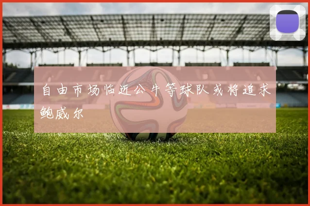 自由市场临近公牛等球队或将追求鲍威尔