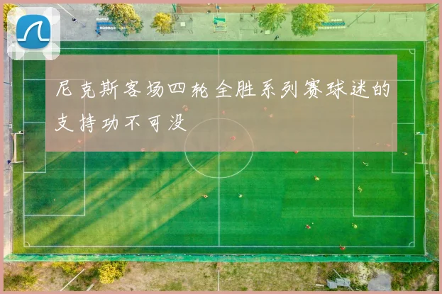 尼克斯客场四轮全胜系列赛球迷的支持功不可没